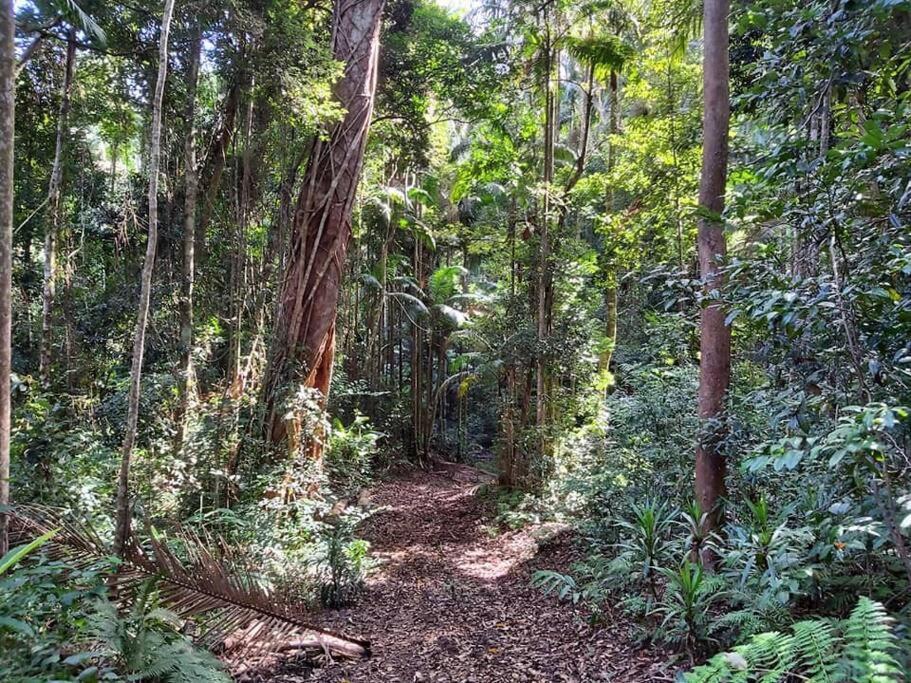 Eucalyptus Escape - Privacy In The Hinterland Holiday home *