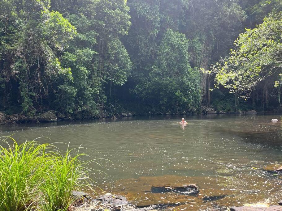 Eucalyptus Escape - Privacy In The Hinterland * Peachester